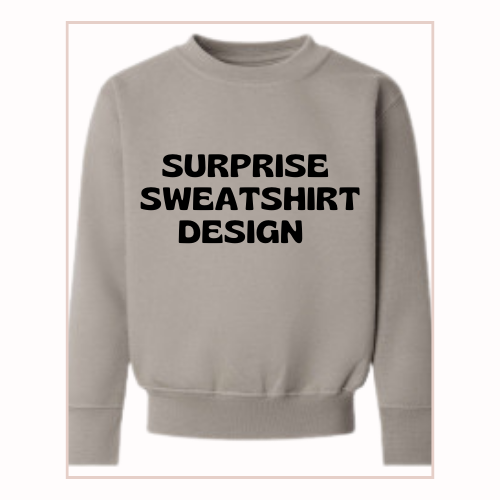 Surprise sweatshirt (embroidered)