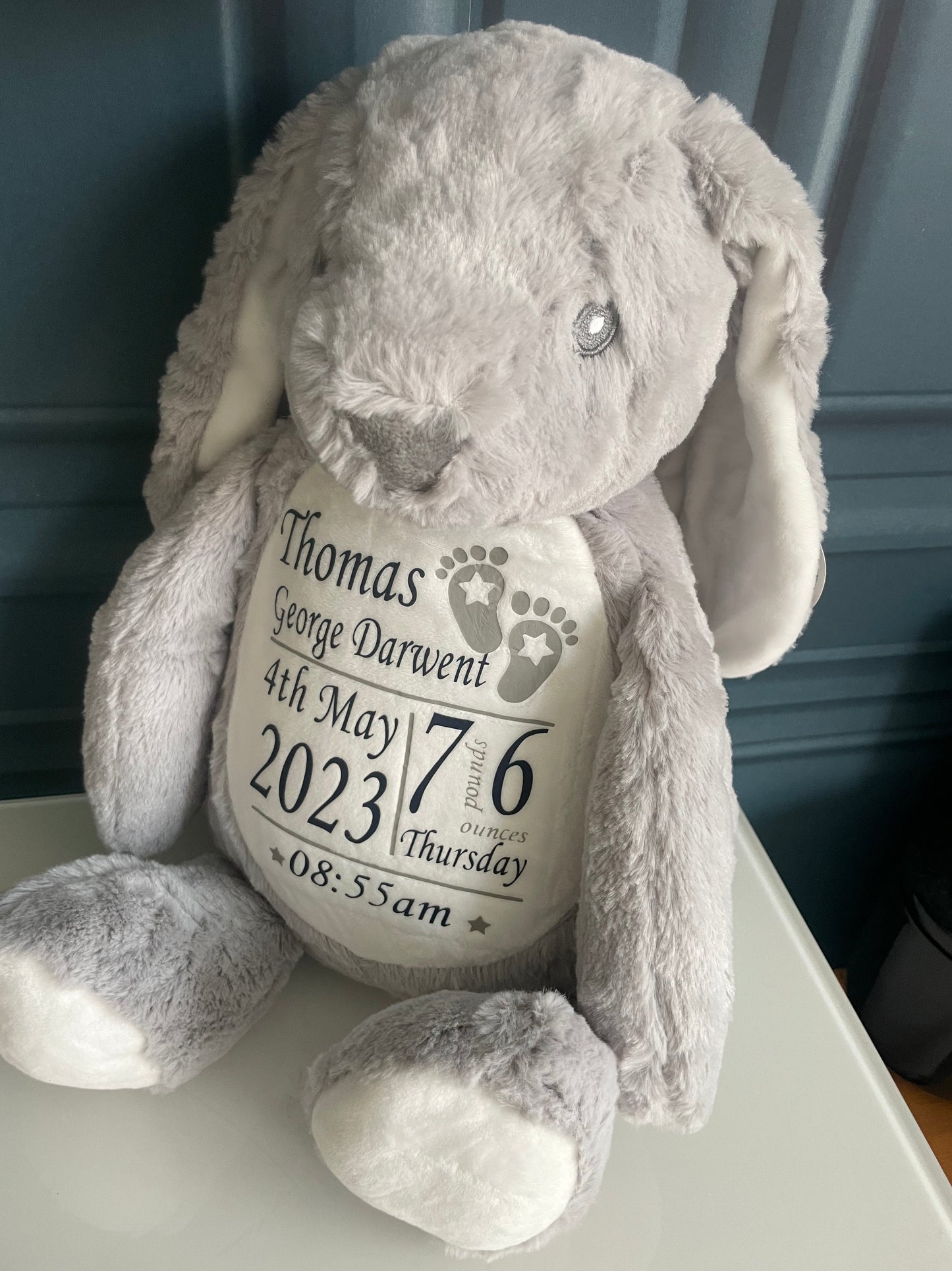 Personalised Birth Detail Teddy