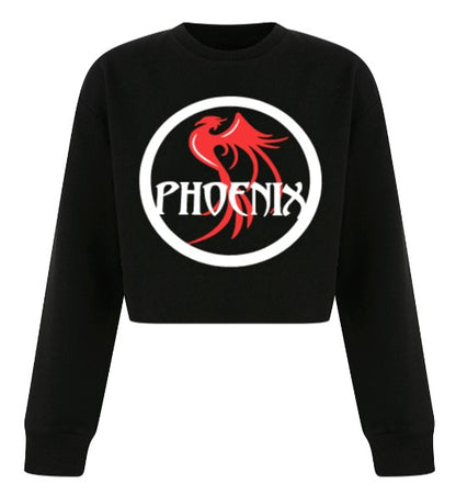 Phoenix Slouch Sweatshirt